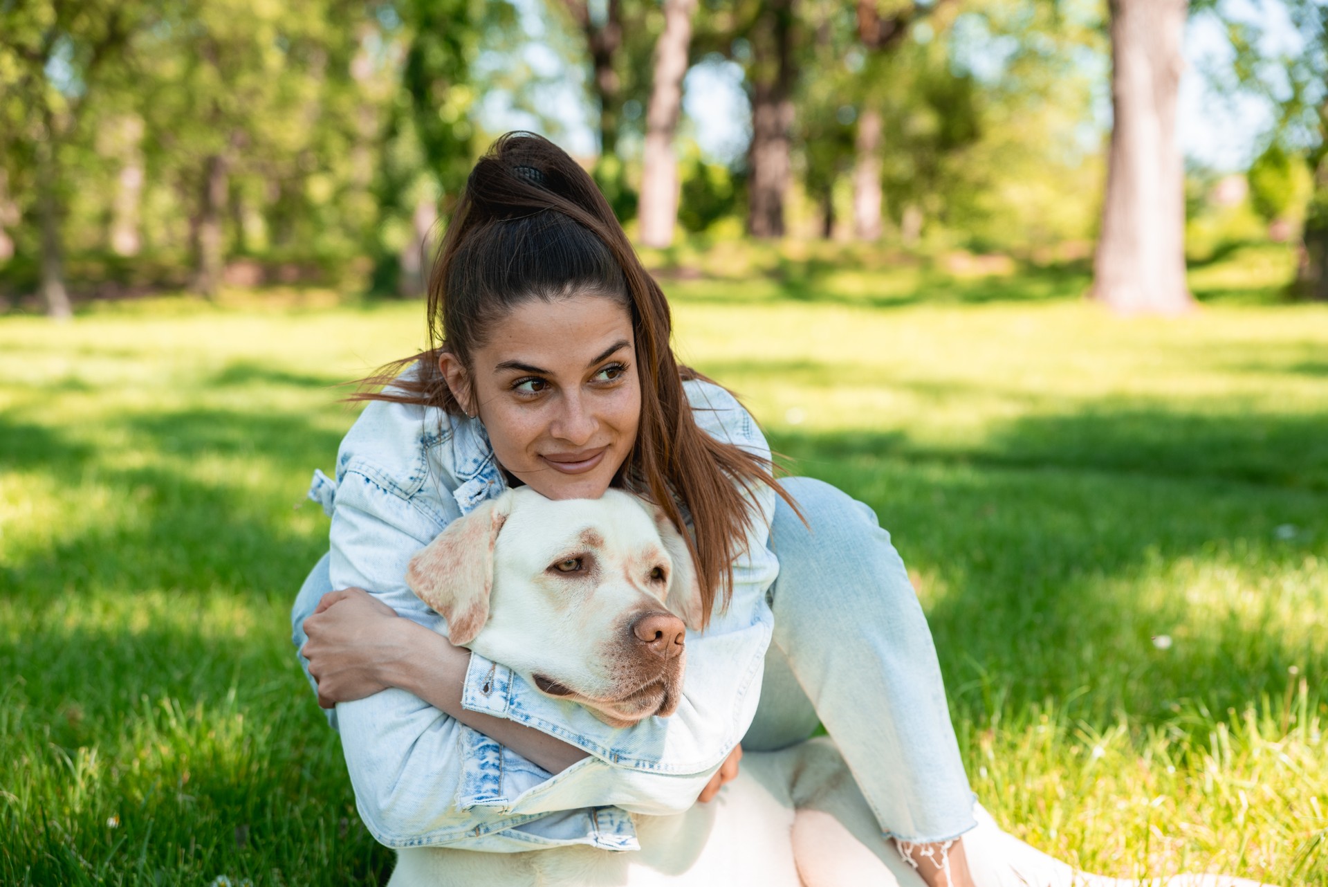 Young student woman professional dog or pet walker walking the dog Labrador Retriever outdoor while the owner is on the work. Cute female enjoying with her puppy friend in the park.